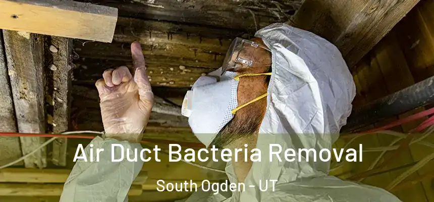  Air Duct Bacteria Removal South Ogden - UT