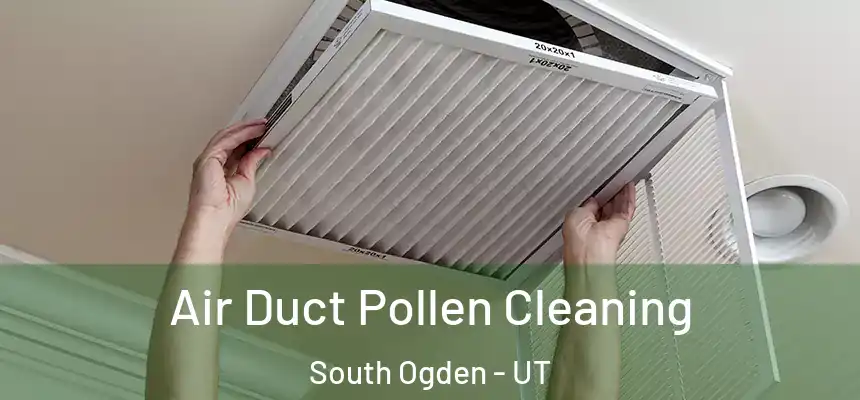  Air Duct Pollen Cleaning South Ogden - UT