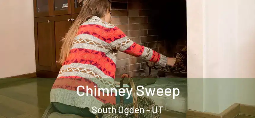  Chimney Sweep South Ogden - UT