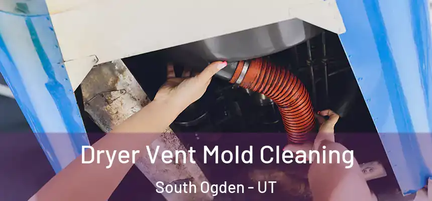  Dryer Vent Mold Cleaning South Ogden - UT