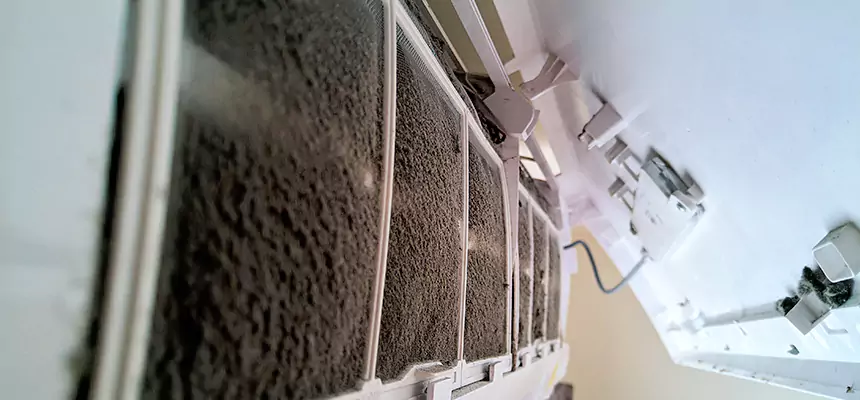 Preventive Air Duct Bacteria Removal in South Ogden