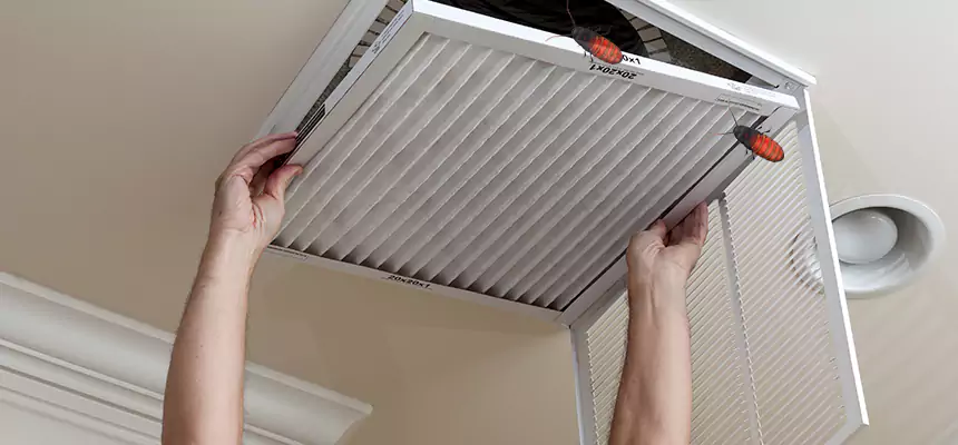 Preventive Cockroach-Proofing for Ducts in South Ogden