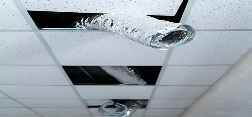 Affordable HVAC Sanitizing After Pest Removal in South Ogden