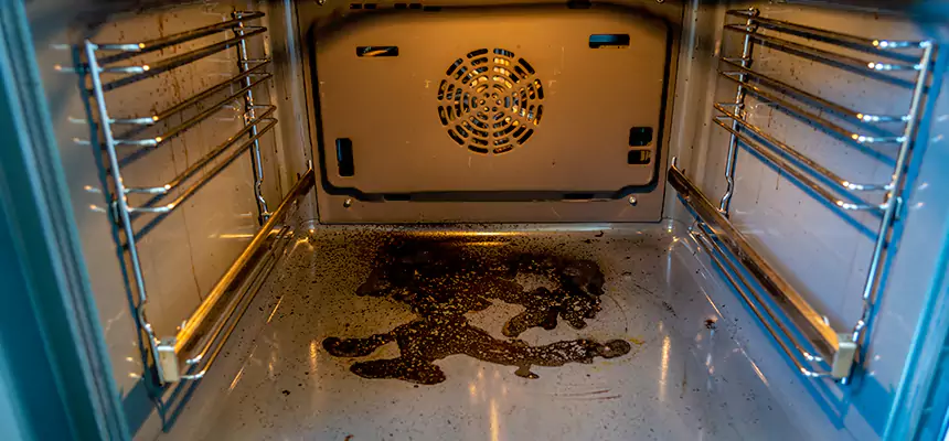 Our Dryer Vent Mold Cleaning Services in South Ogden, UT