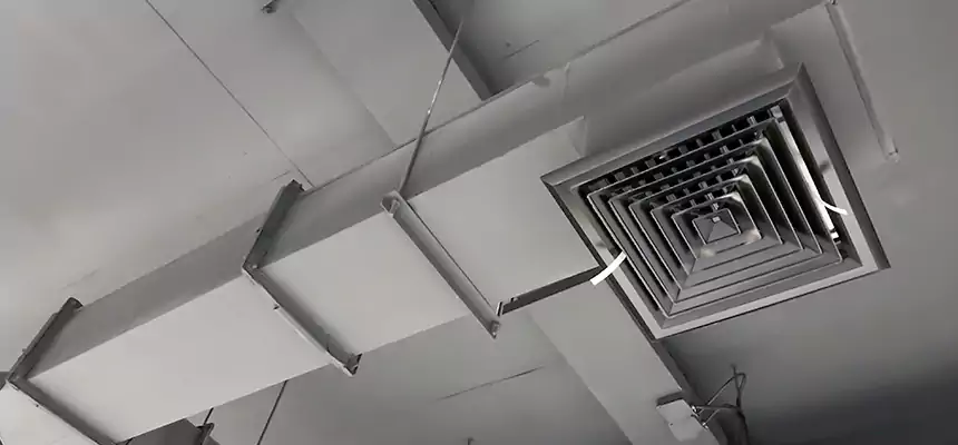 Our Rodent Droppings In Vents Services in South Ogden, UT