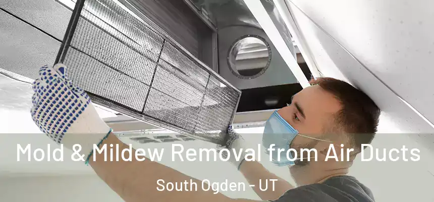 Mold & Mildew Removal from Air Ducts South Ogden - UT