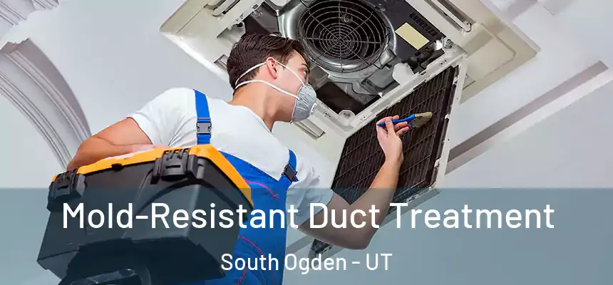 Mold-Resistant Duct Treatment South Ogden - UT