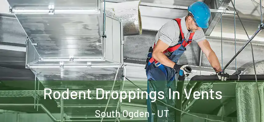  Rodent Droppings In Vents South Ogden - UT