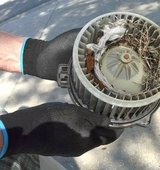 About Air Duct Mice Removal in South Ogden, UT