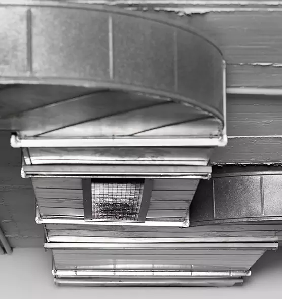 Professional Air Duct Pest Removal in South Ogden, UT