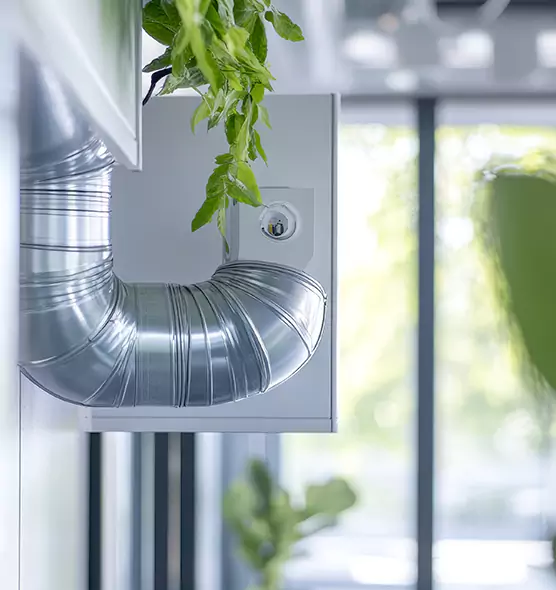 Professional Eco-Safe Dryer Vent Cleaning in South Ogden, UT