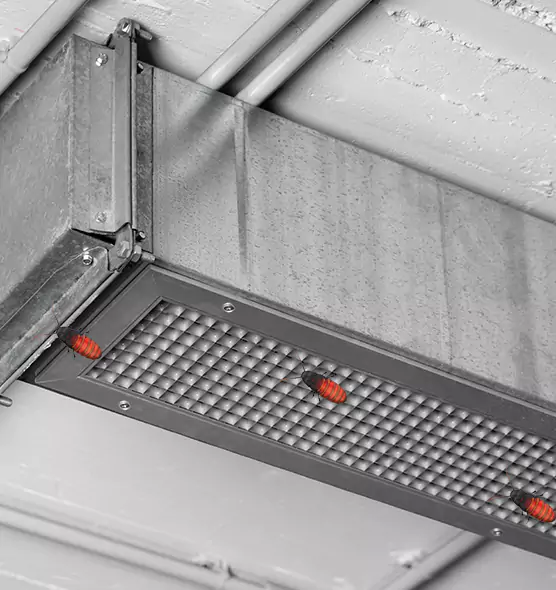 Affordable Insect Removal from Air Ducts in South Ogden, UT