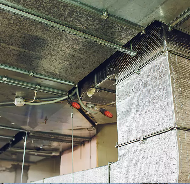 Why Homeowners & Businesses Trust Us in South Ogden, UT?