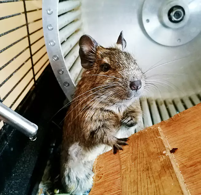 Why Homeowners & Businesses Trust Us South Ogden, UT