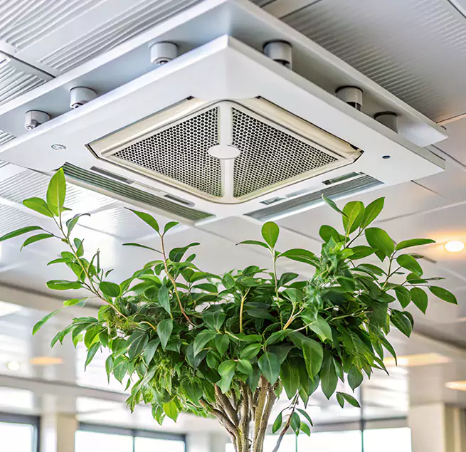 Why Homeowners & Businesses Trust Us in South Ogden, UT