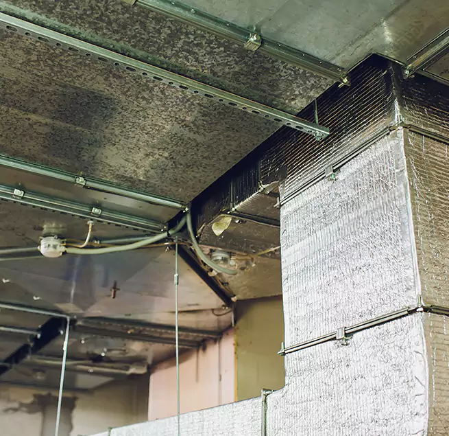 Why Homeowners & Businesses Trust Us in South Ogden, UT?